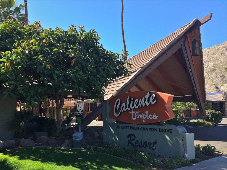 Caliente Tropics