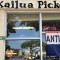 Kailua Pickers