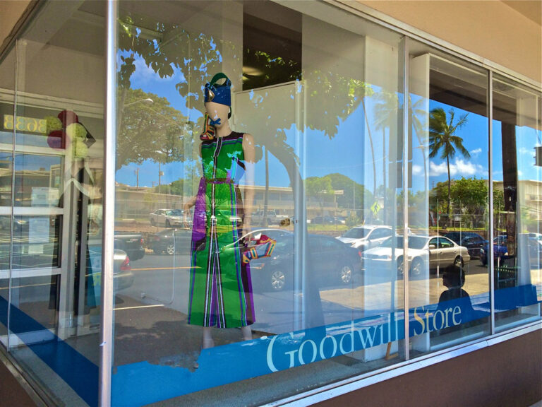Goodwill Store 1 1 768x576